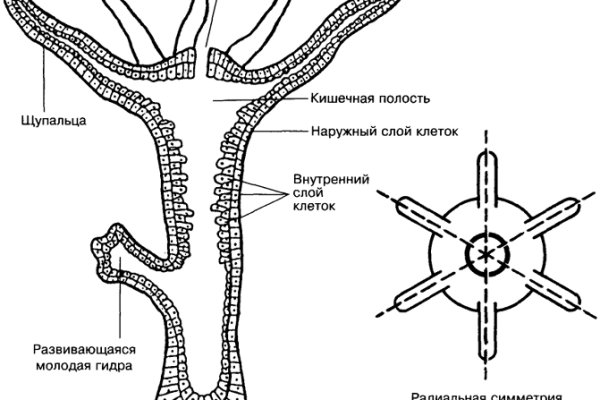 Реальная ссылка кракен