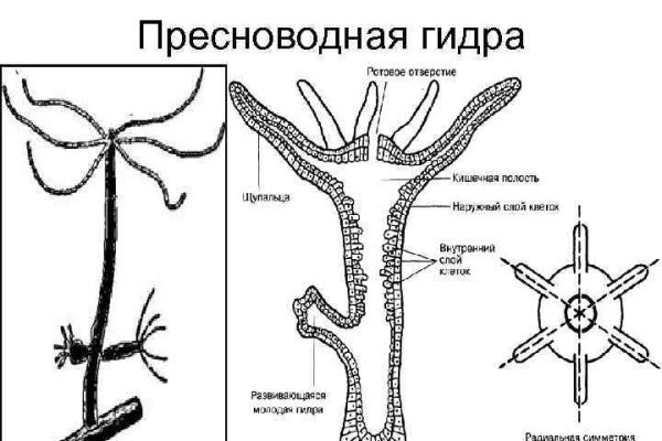 Кракен сайт сегодня