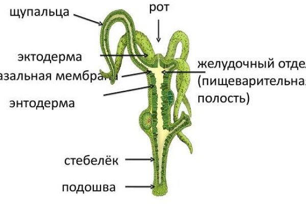 Kra14.gl