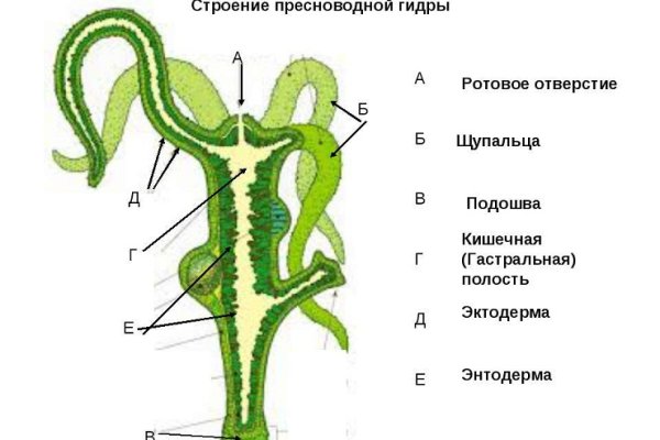 Что такое кракен в даркнете